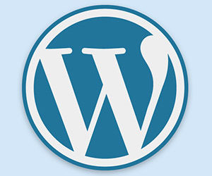 5 Things You Need to Do Upon Installing WordPress