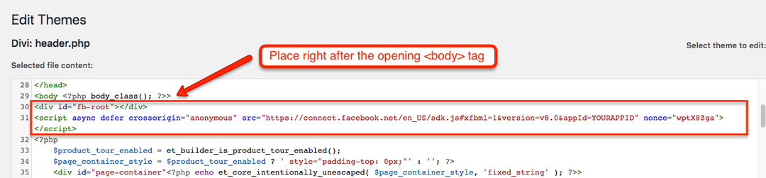 Facebook Comments code for WordPress body html tag