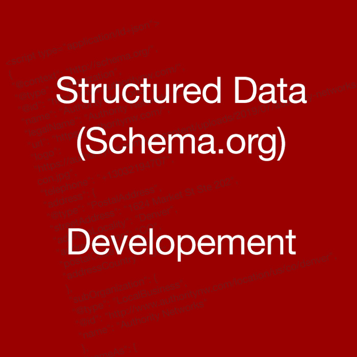 Schema.org Structured Data markup development services